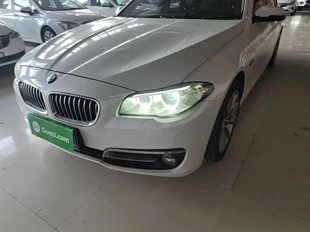 BMW 5 Series 2014 520Li Elegance фото 24