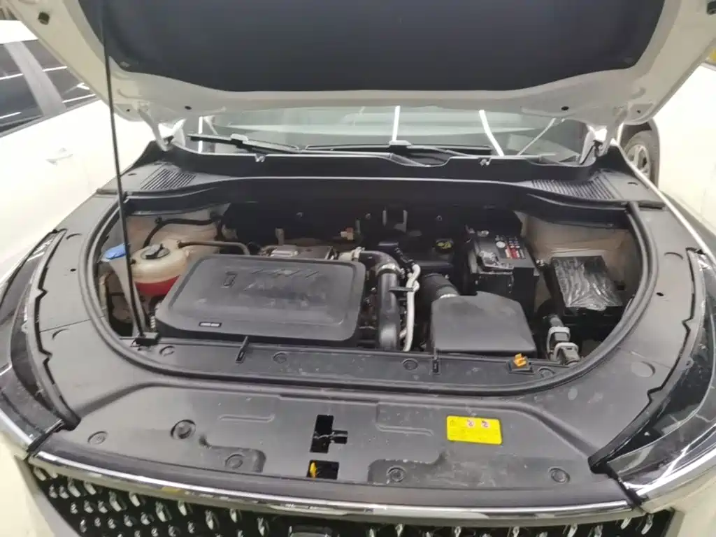 Besturn Bestune T55 2024 2023 1.5T Auto Flying Leap