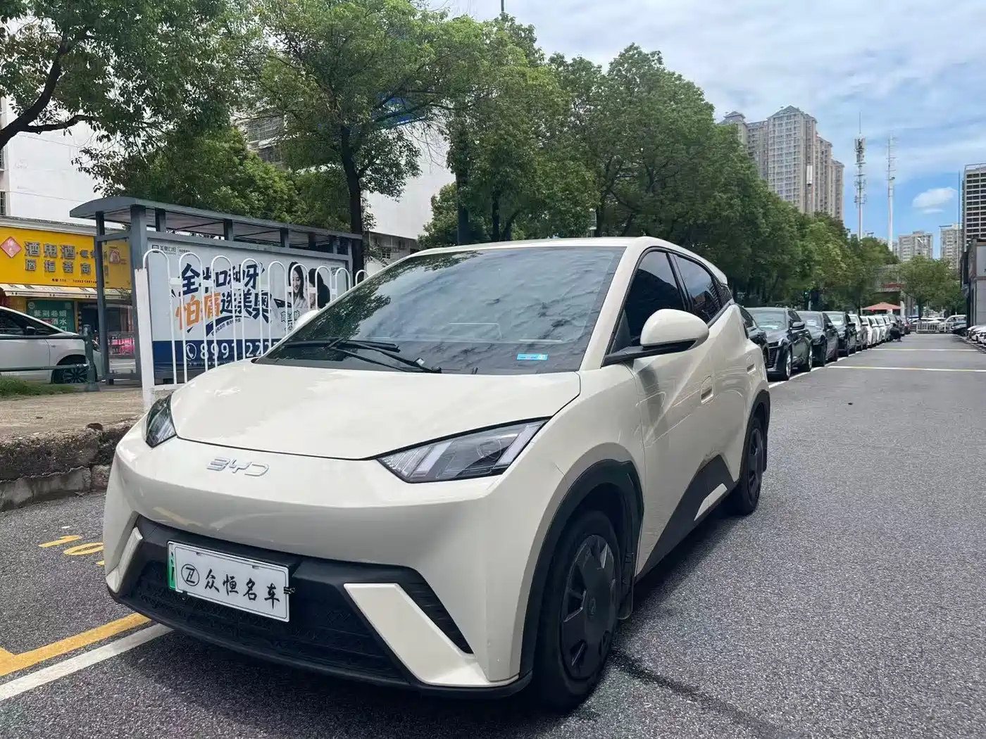 BYD Seagull 2024 Glory Edition 305km Vitality Edition
