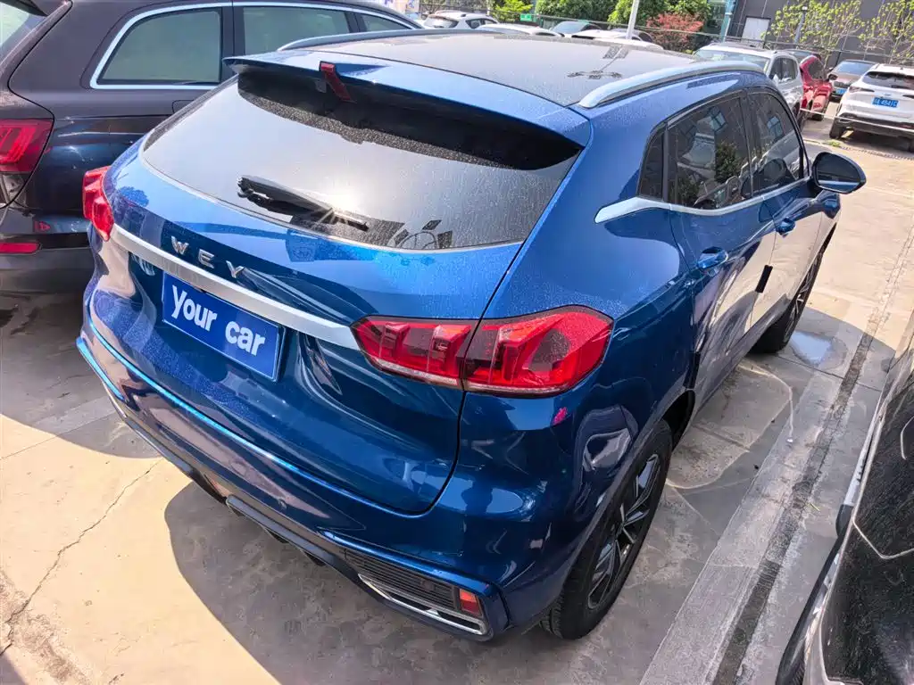 WEI PAI WEI BRAND VV5