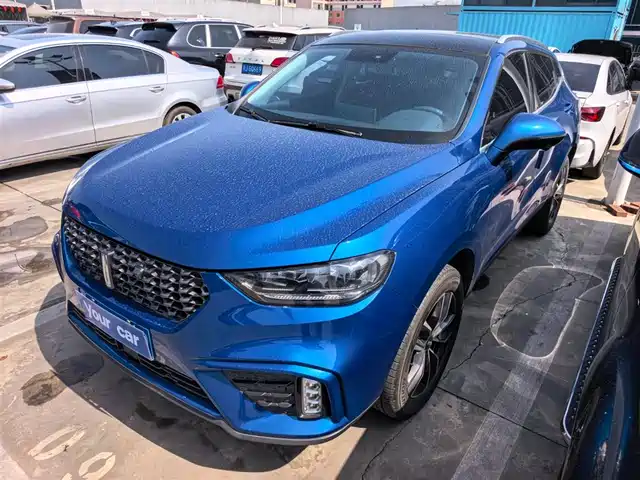 wei-pai wei-brand-vv5