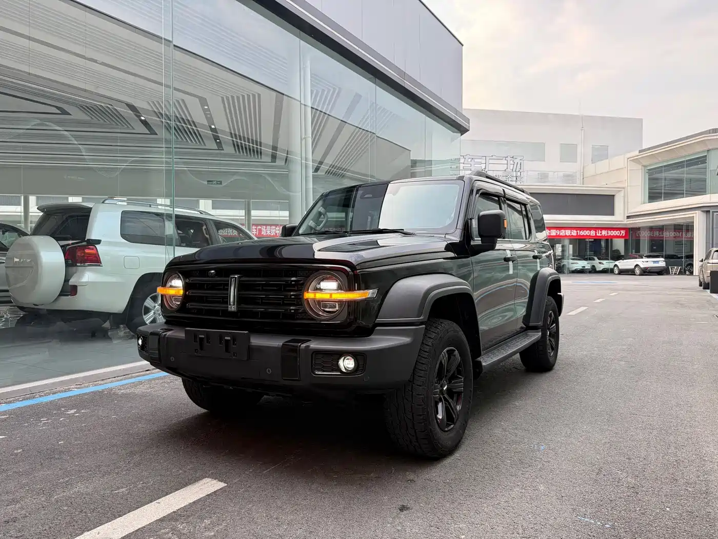 Tank 300 2021 2021 Off-road Version 2.0T Conqueror