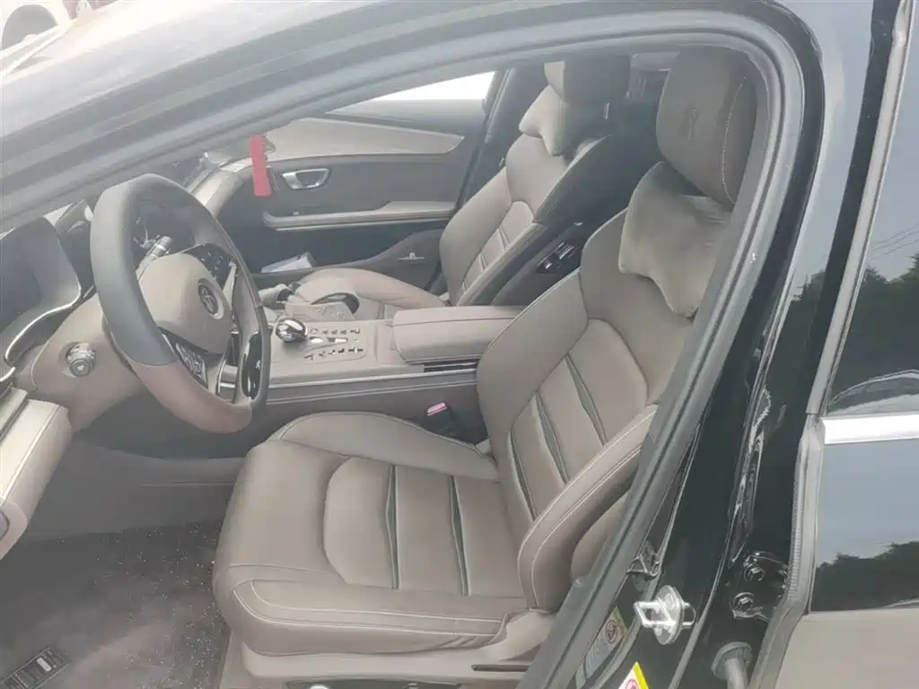 BYD Han 2021 EV Standard Range Luxury фото 15