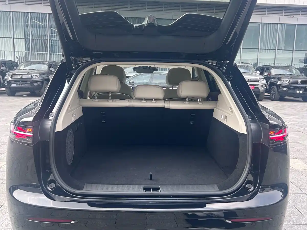 Voyah Auto Voyah Zhiyin 2025 Base фото 9