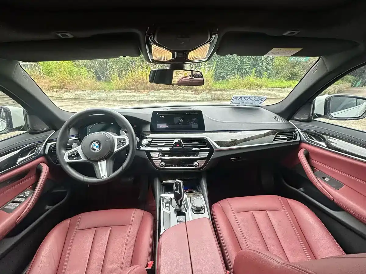 BMW 5 Series 2020 530Li Leading M Sport Package фото 6