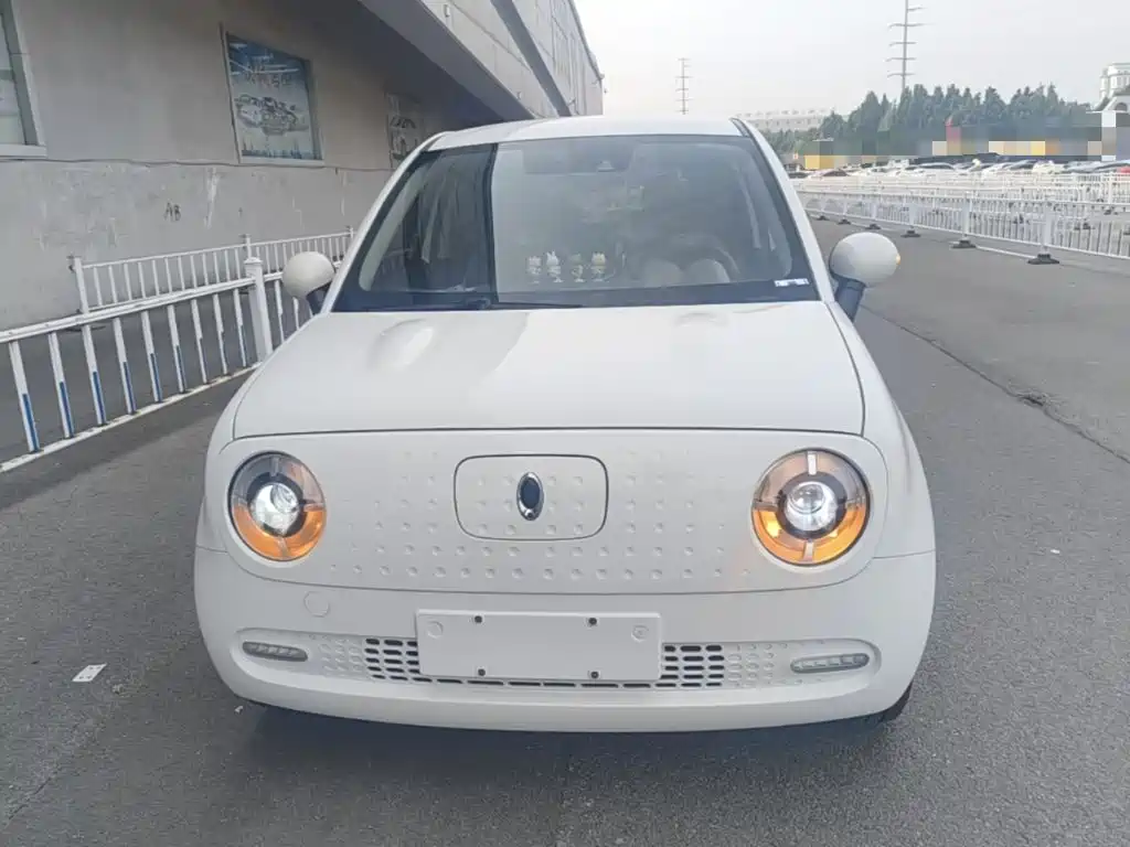 Ora Black Cat 2021 2021 351km Luxury Model