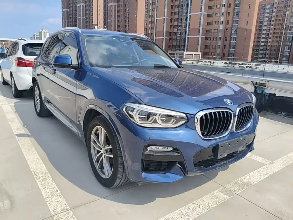 BMW X3 2018 2018 xDrive30i Leading M Sport Package China V