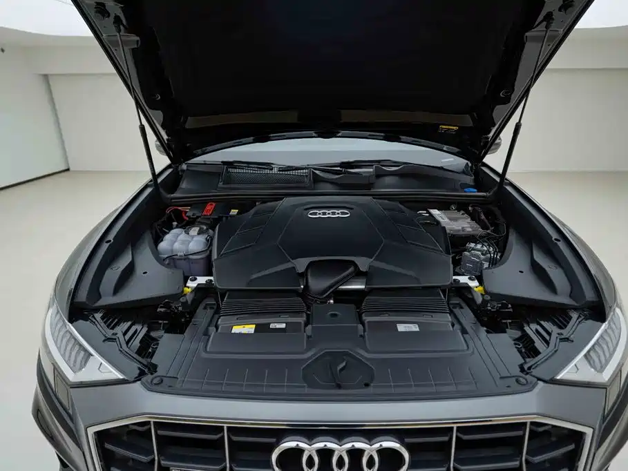 Audi Q8 2023 2022 55 TFSI Luxury Dynamic