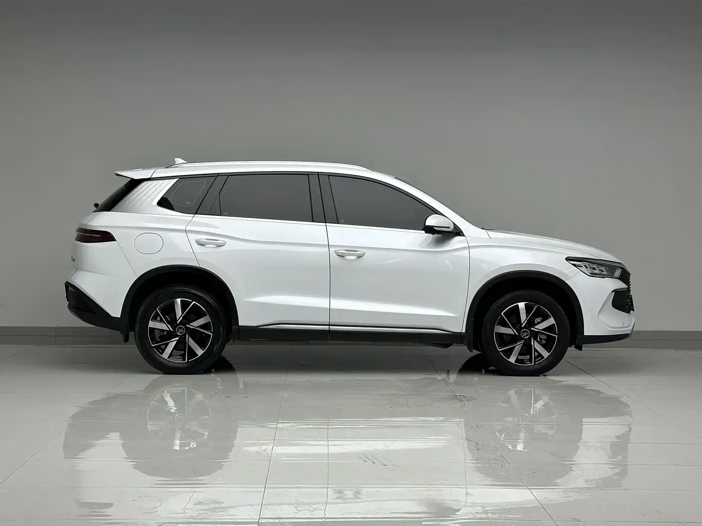 BYD Song Pro New Energy 2024 Glory Edition DM-i 71KM Pilot фото 4
