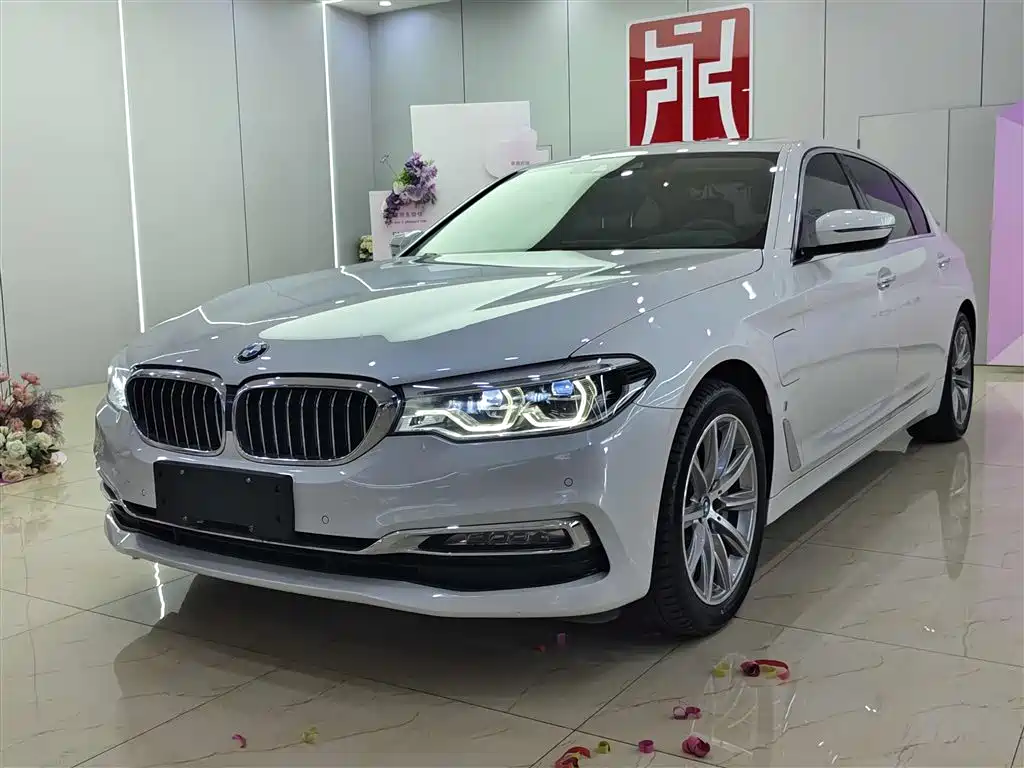 BMW 5 Series New Energy 2018 530Le Luxury Package