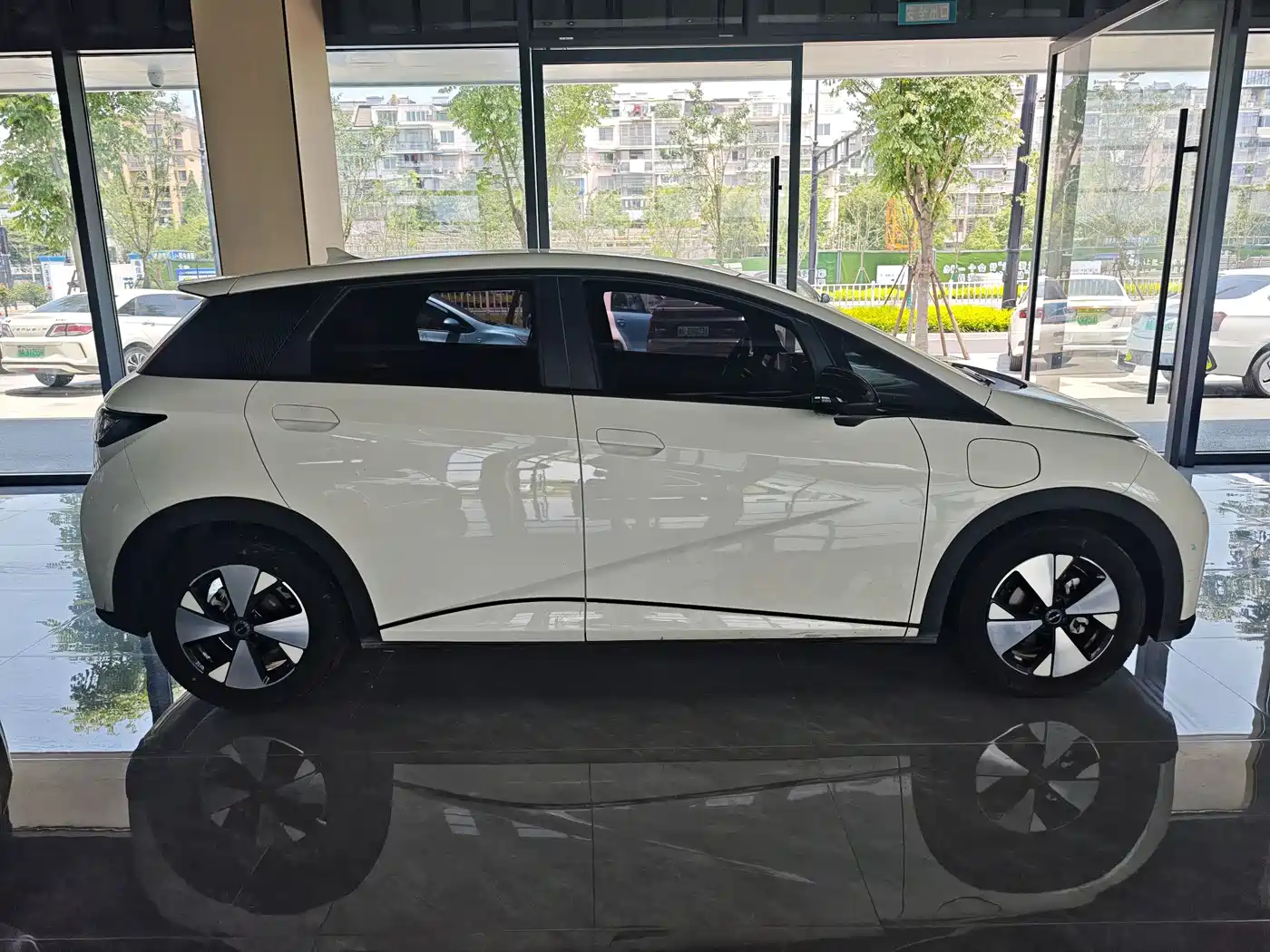 BYD Dolphin 2023 420km Fashion Edition фото 3