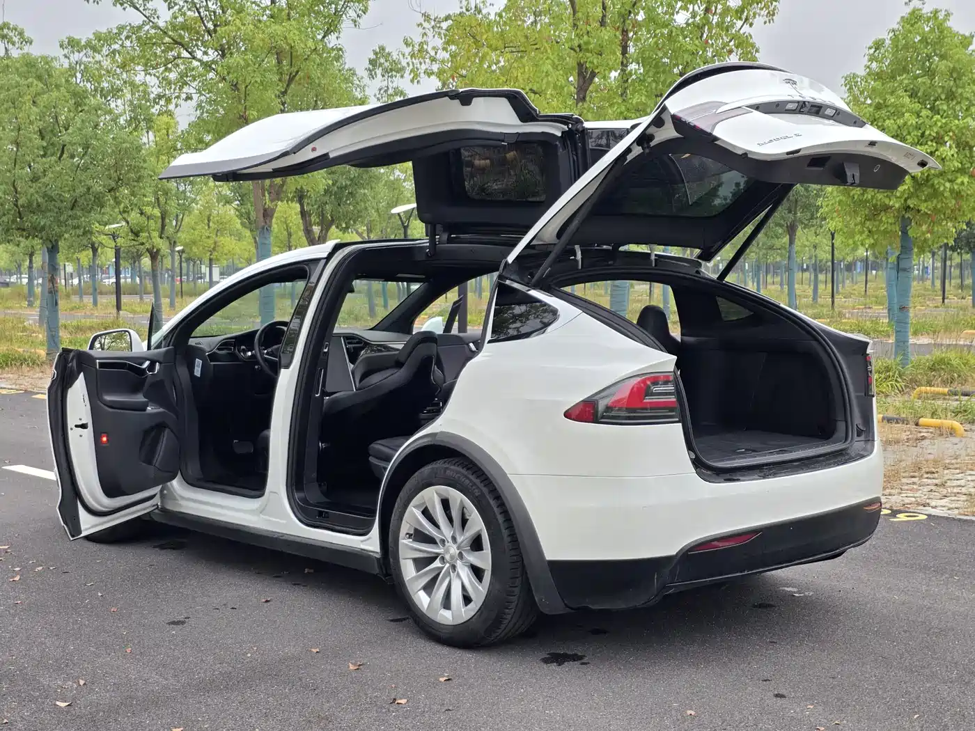 Tesla Model X 2017 2016 Model X 75D