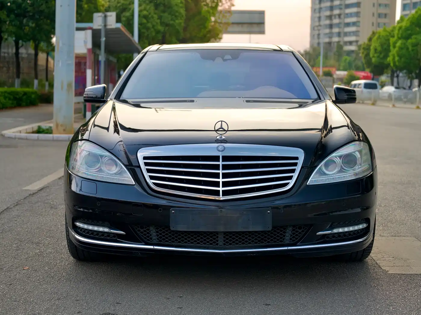 Mercedes-Benz S-Class 2010 S 350 L Luxury фото 2