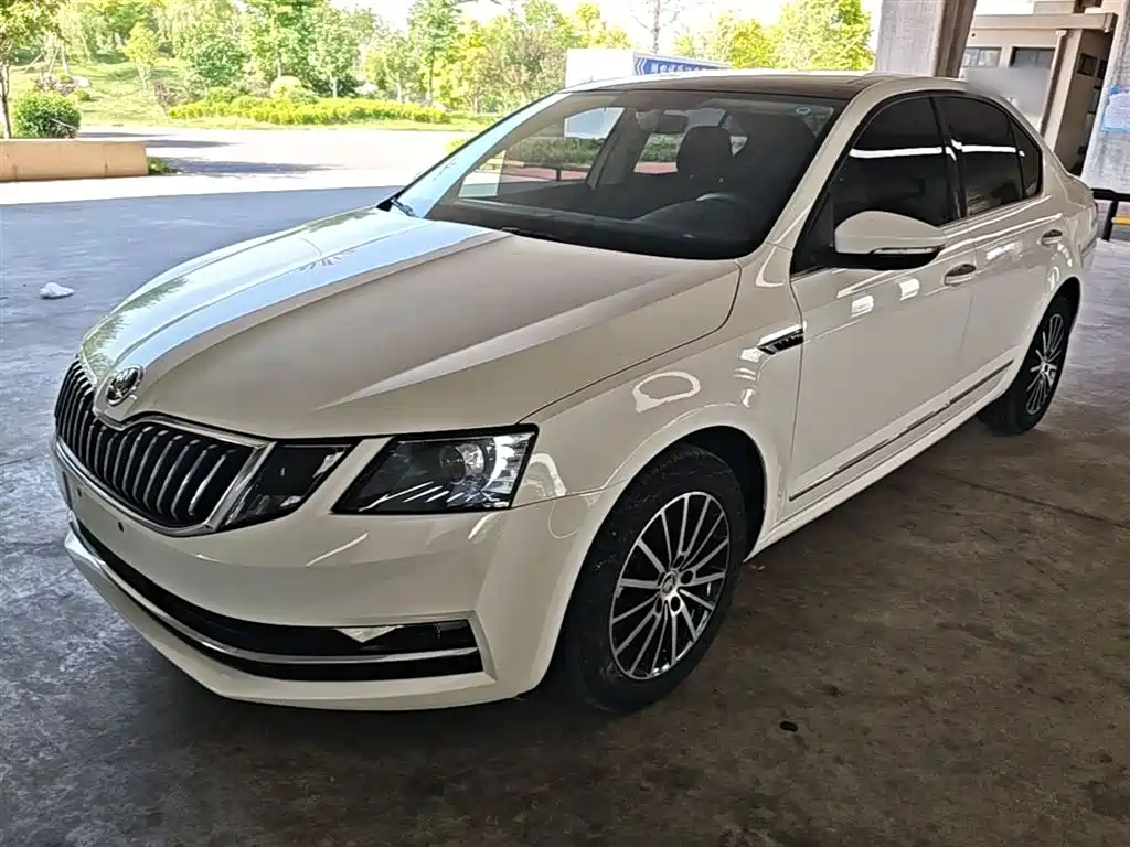 Škoda Octavia 2019 1.5L Automatic Smart Luxury China VI фото 2