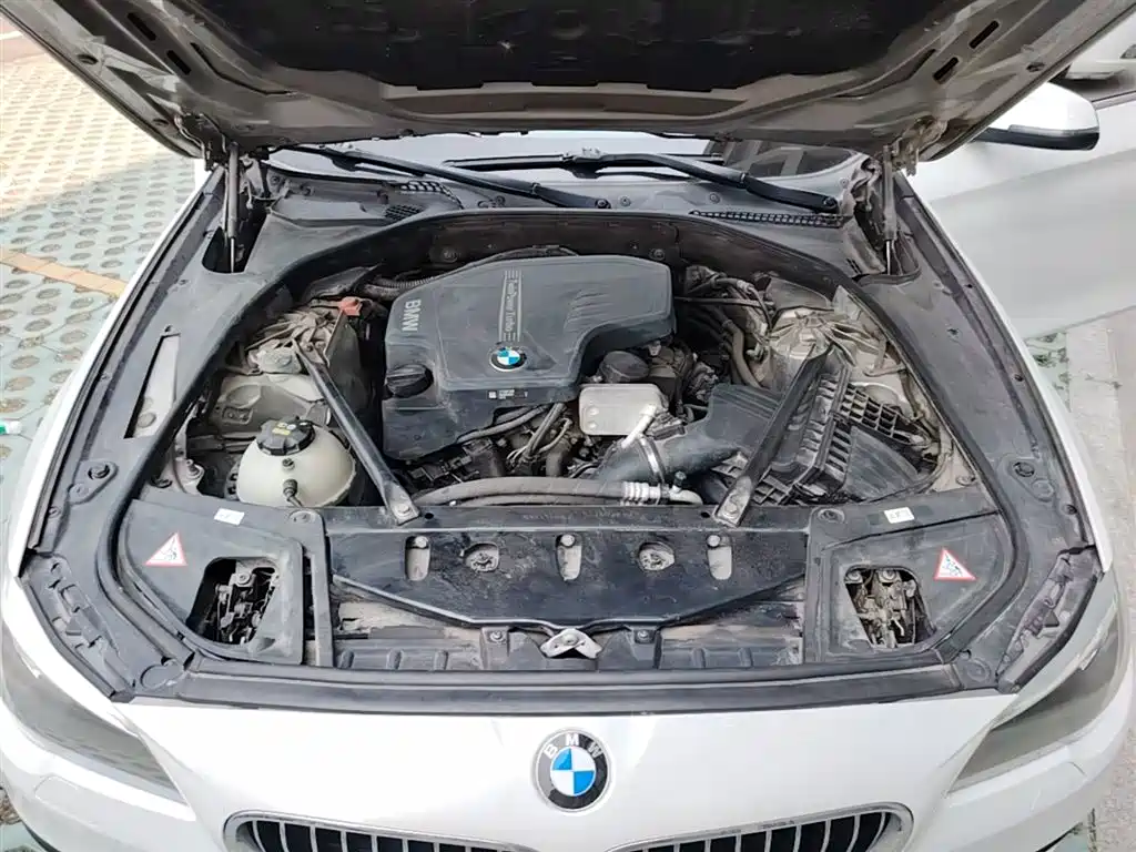 BMW 5 Series 2014 520Li Elegance фото 16