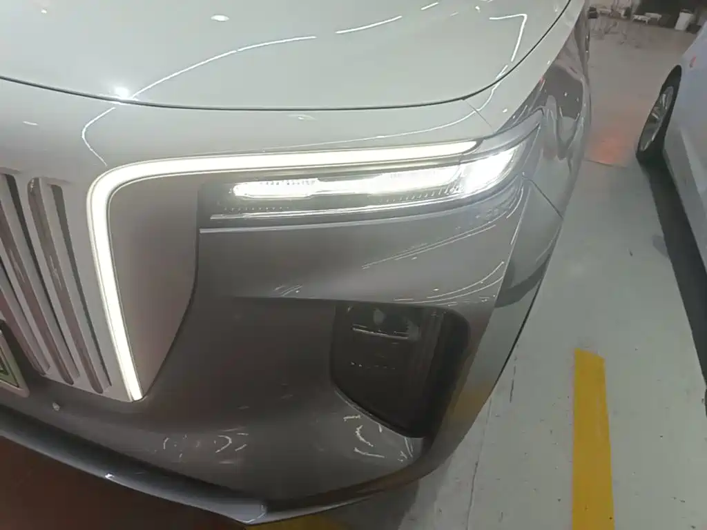Фото 24 - Hongqi E-HS9