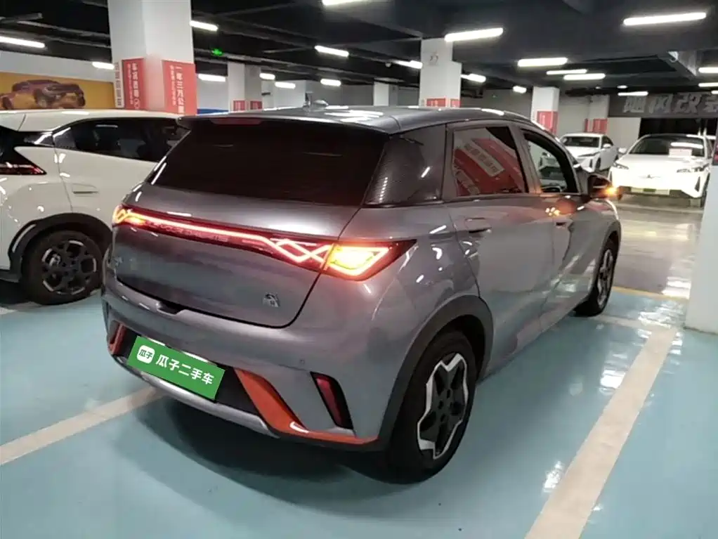 BYD Dolphin 2021 Model 405km Fashion Edition фото 7