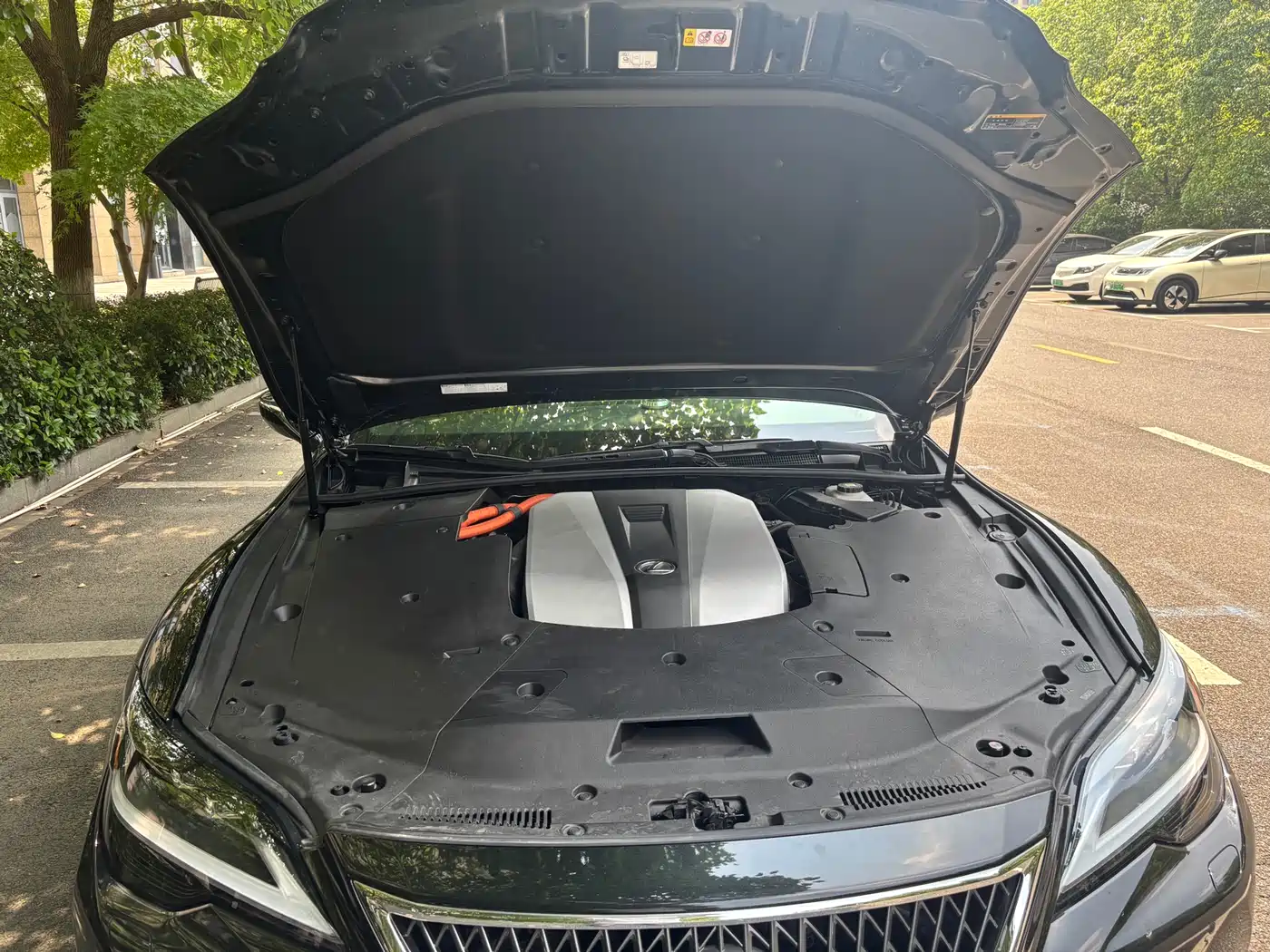 Lexus LS 2024 Model 500h Excellence Edition фото 9