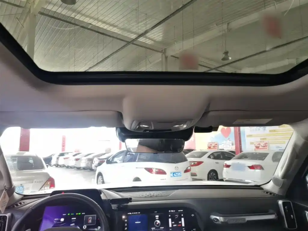 Haval Big Dog 2022 1.5T DCT FWD Border Collie Edition фото 18