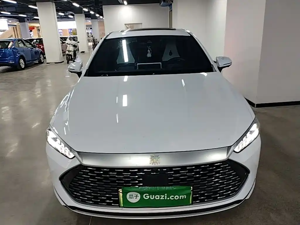 BYD Qin PLUS 2021 DM-i 120KM Flagship фото 3