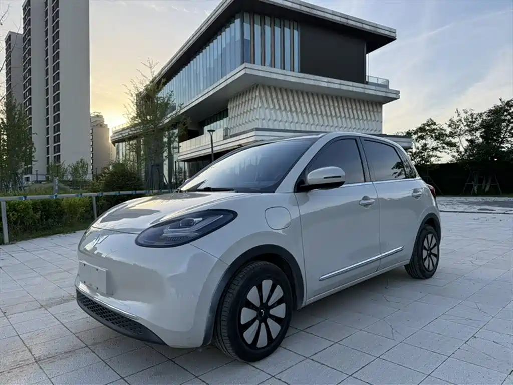 Wuling Motors Wuling Bingo 2024 333km Comfort Edition
