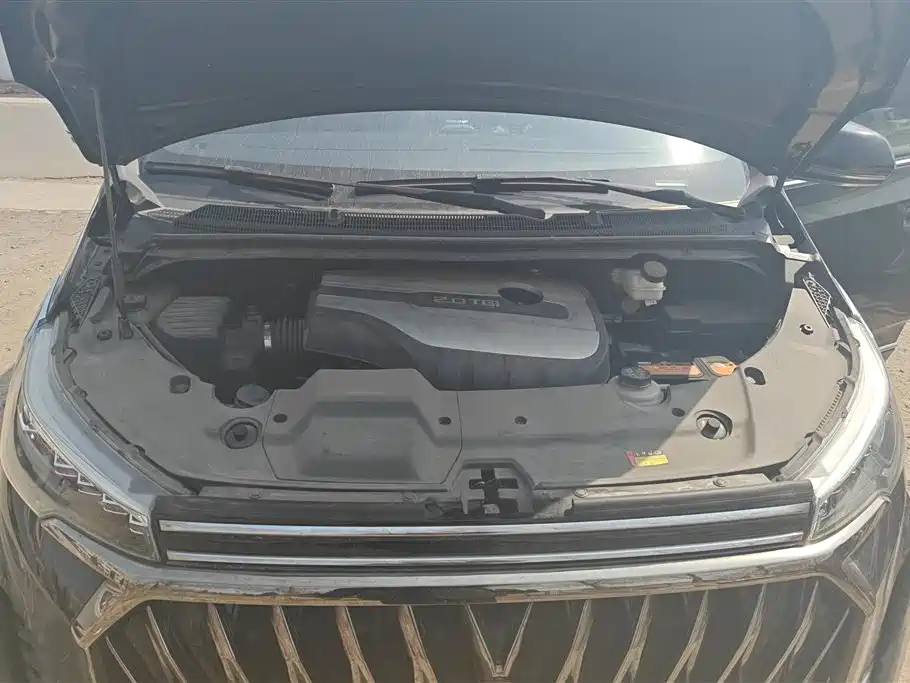 SAIC MAXUS CHASE G20