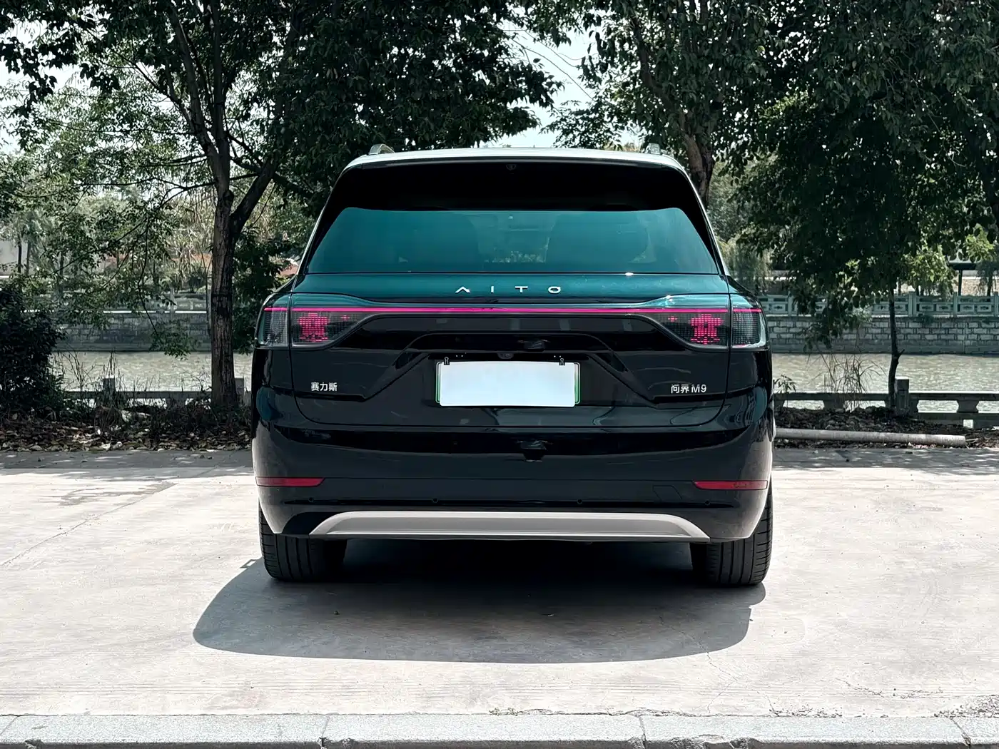 AITO Wenjie AITO M9 2024 Extended Range Ultra 42kWh 6-Seater фото 8
