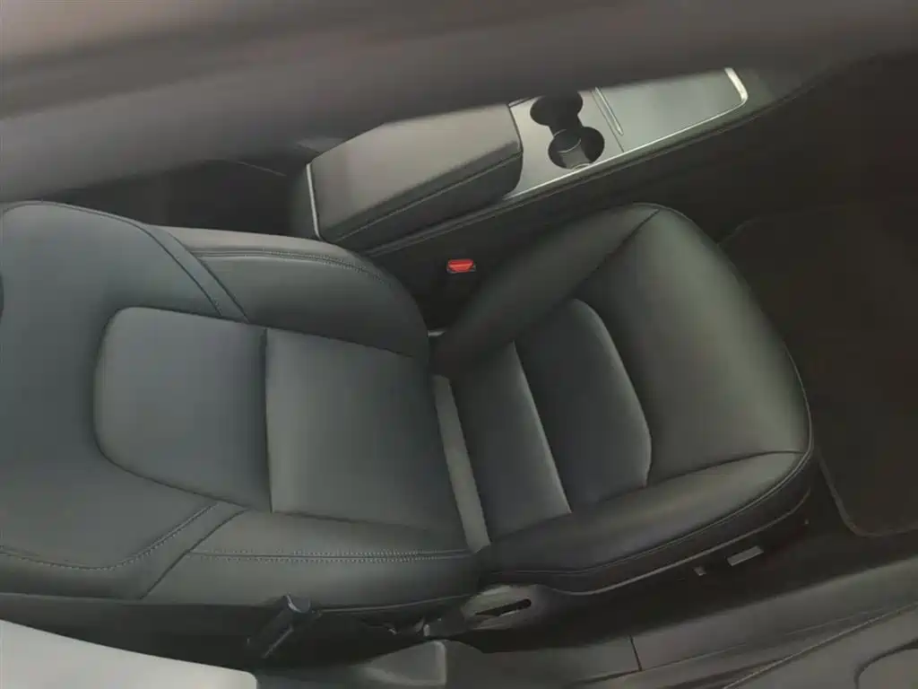 Фото 25 - Tesla Model 3
