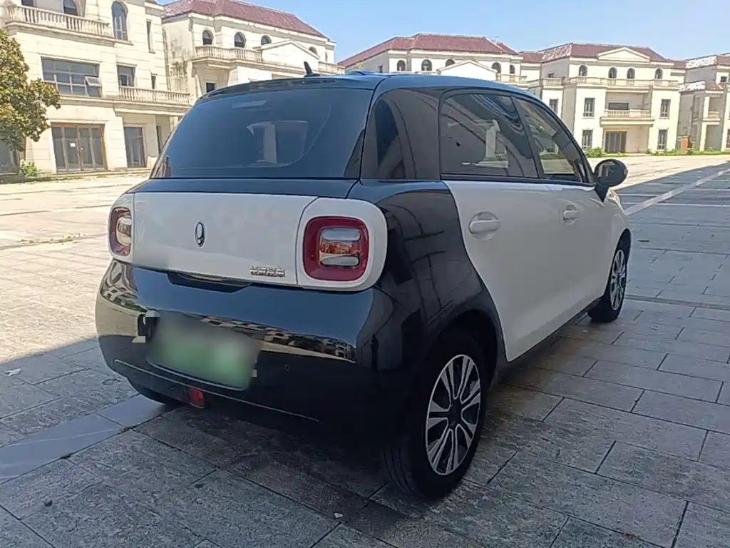 Ora Black Cat 2022 2022 Facelift 301km Pet Edition LFP Version