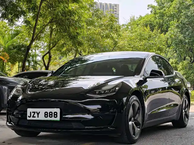 Tesla Model 3 2020 Standard Range Rear-Wheel Drive Upgrade