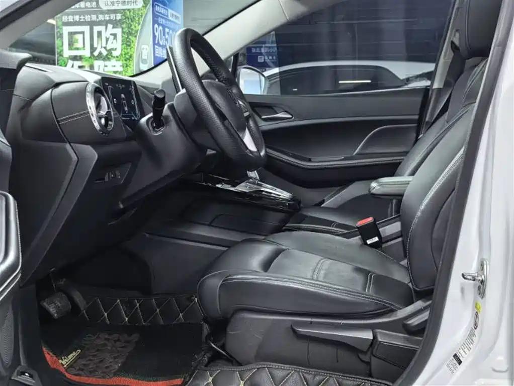 BYD Yuan New Energy 2019 EV535 High Energy Navigation Edition фото 3