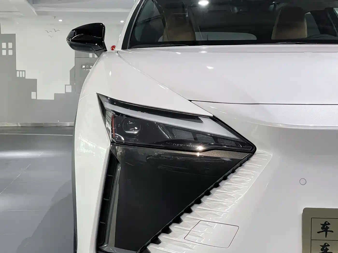 Lexus RZ 2023 450e 4WD Deluxe фото 8