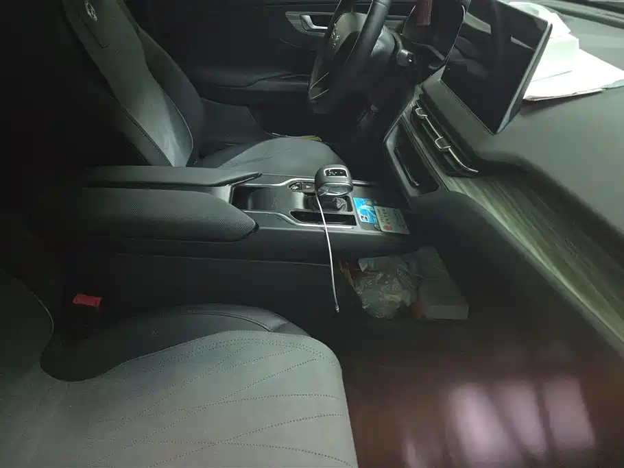 Hongqi E-QM5 2024 Model 610km PLUS фото 8