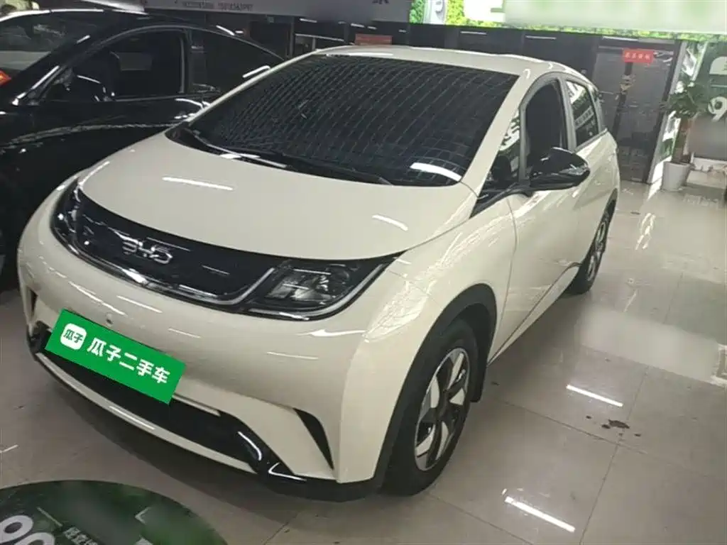 BYD Dolphin 2025 420km Freedom Edition фото 2
