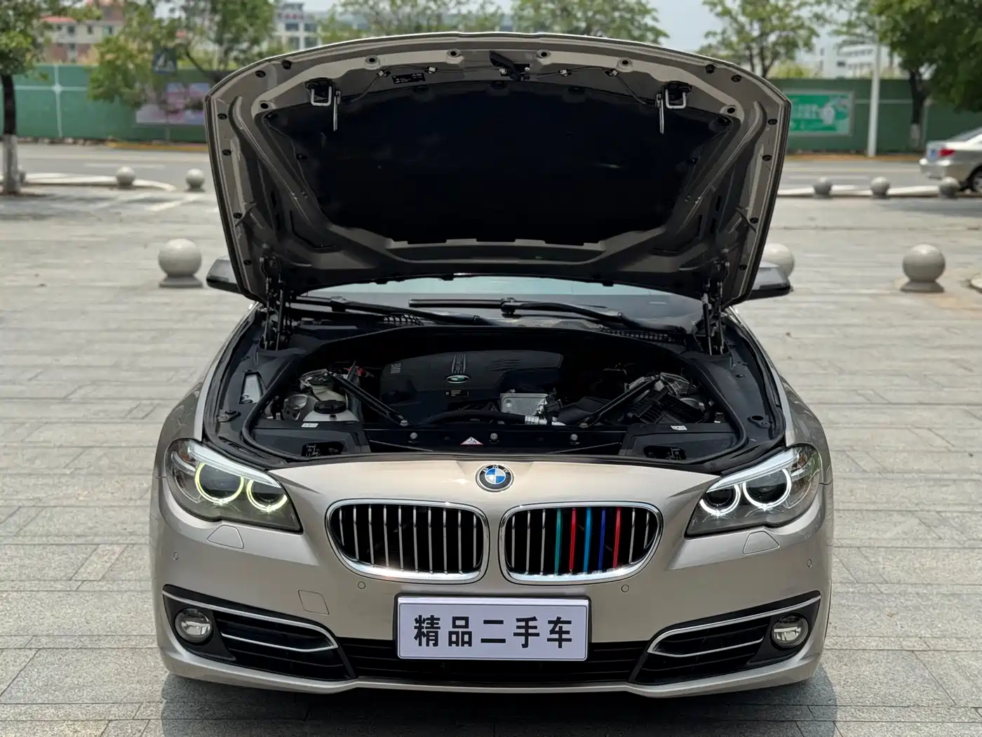 BMW 5 Series 2014 525Li Luxury Design Package фото 20