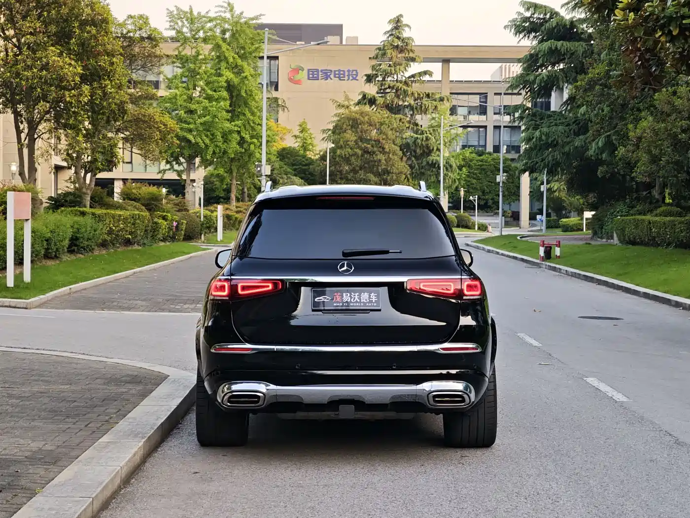 Mercedes-Benz Maybach GLS 2021 GLS 600 4MATIC Etiquette Edition фото 4