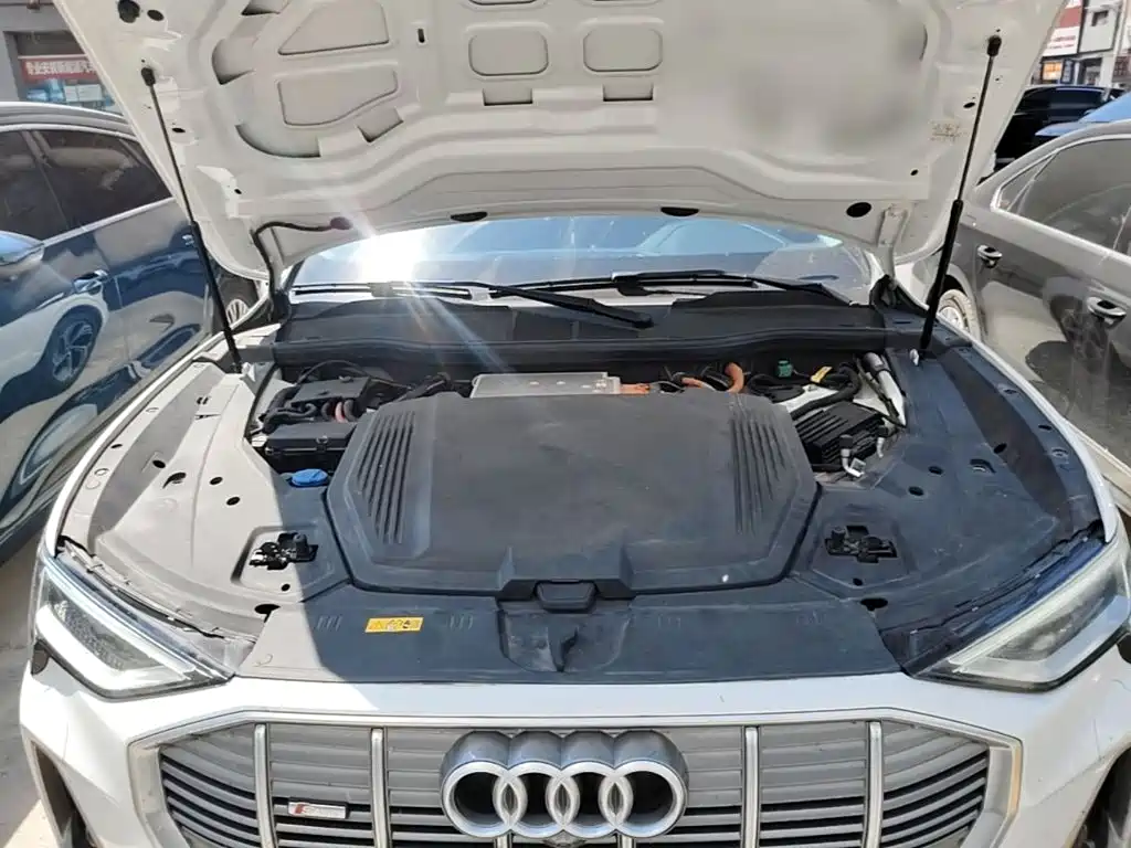 Audi e-tron 2023 2021 50 quattro Exclusive Selection