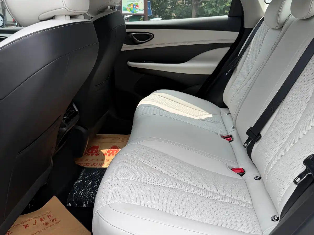 BYD Hai Bao 05 DM-i 2025 DM-i Smart Drive Edition 55KM Luxury фото 9