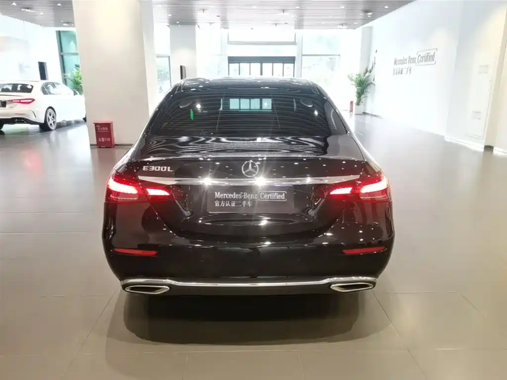 Mercedes-Benz E-Class 2023 E 300 L Sport Luxury фото 10