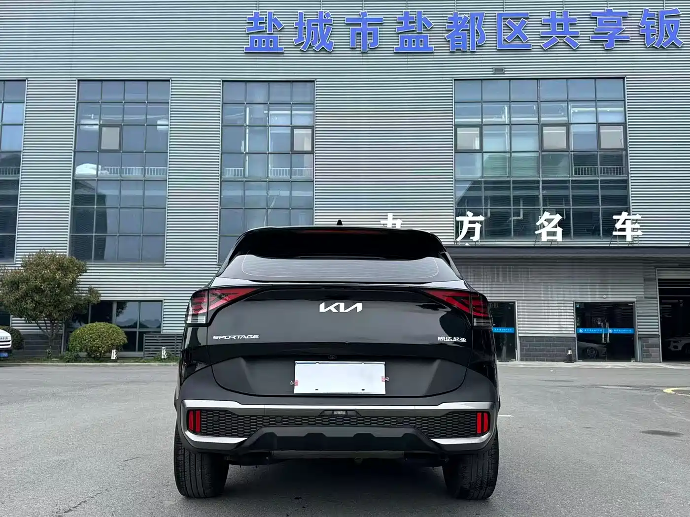 KIA LION PLATINUM EXPANDS THE WORLD