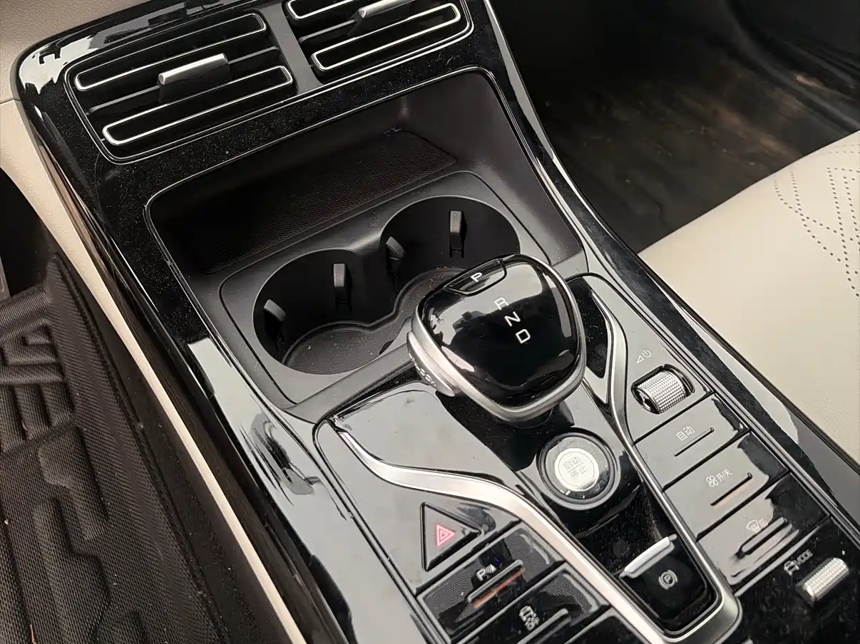 BYD Qin PLUS 2024 Glory Edition DM-i 55KM Surpass фото 11