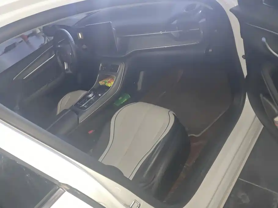 BYD Destroyer 05 2024 2024 DM-i 55KM Pilot Glory Edition