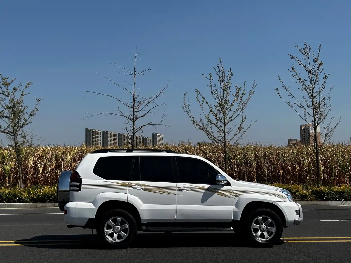 Toyota Prado 2008 2005 Model 4.0L Automatic GX Luxury Edition