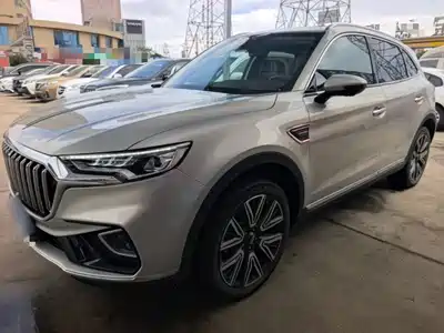 Hongqi HS5