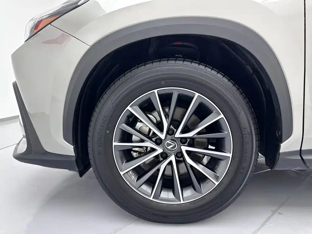 Фото 31 - Lexus NX