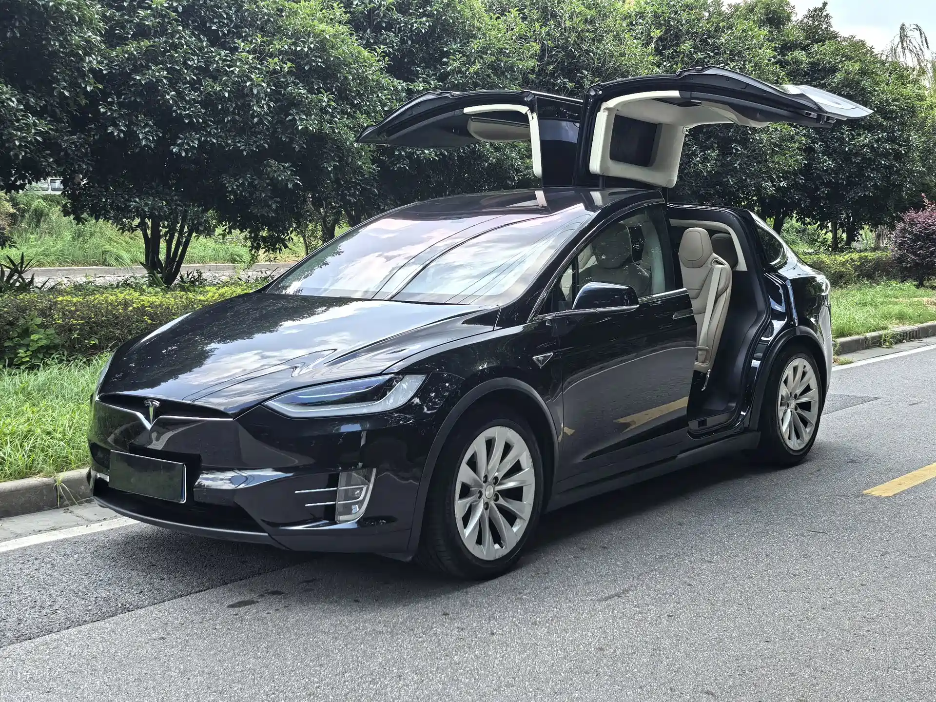 Фото 14 - Tesla Model X