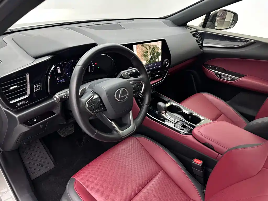 Фото 18 - Lexus NX