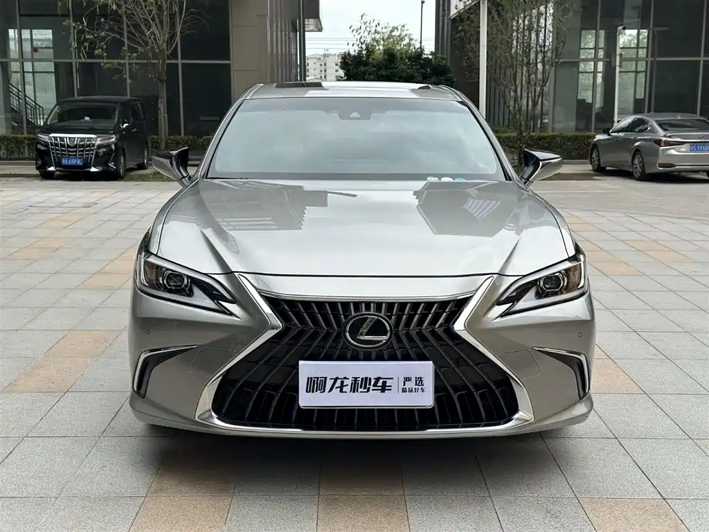 Lexus ES 2021 200 Excellence Edition фото 3