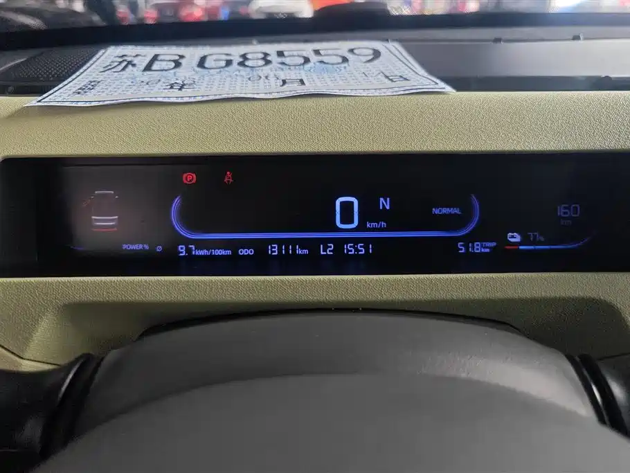 Geely Galaxy Panda 2023 Panda Mini 200km Endurance Bear фото 14
