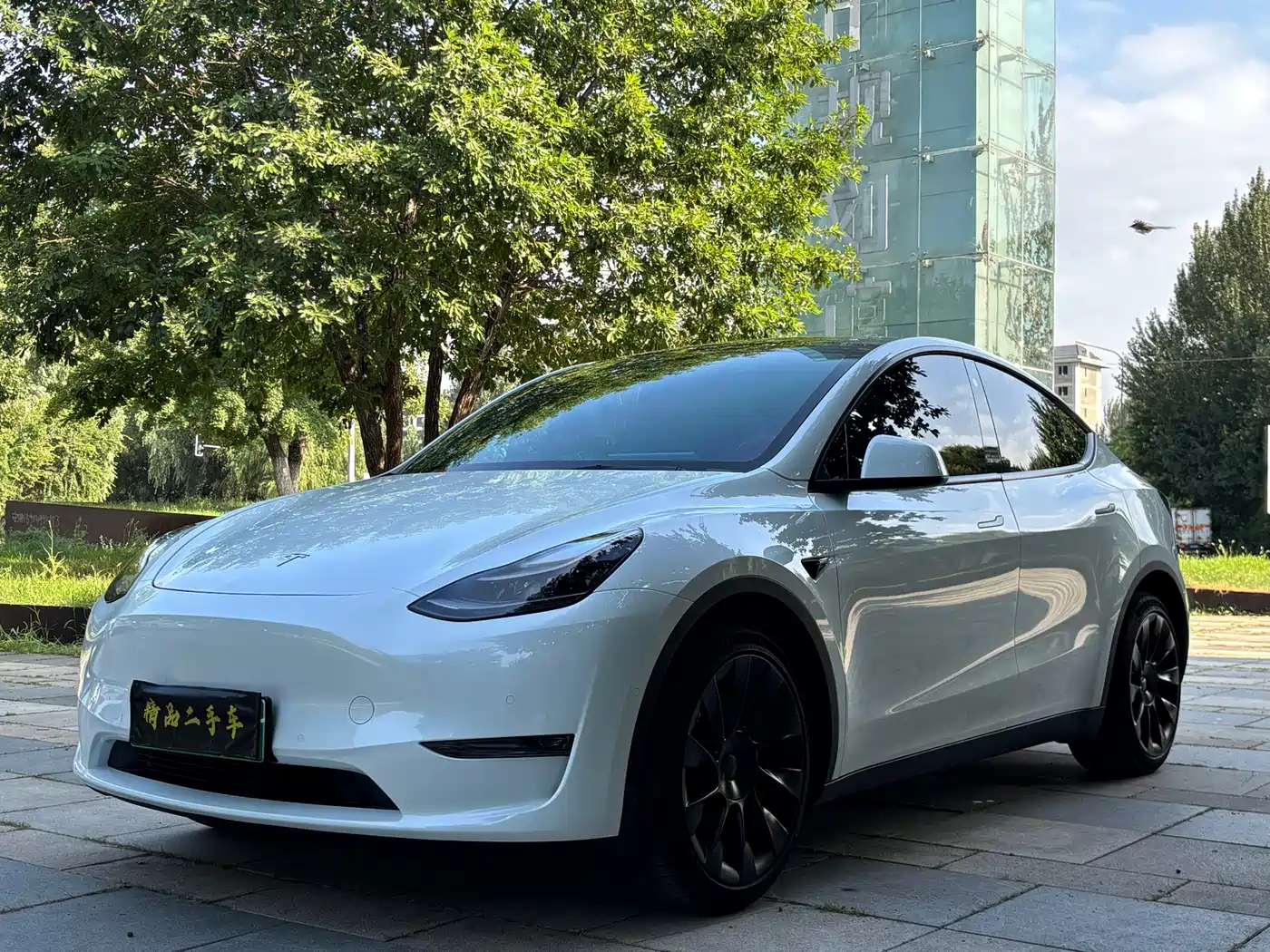 Tesla Model Y 2021 2021 Long Range All-Wheel Drive 3D7